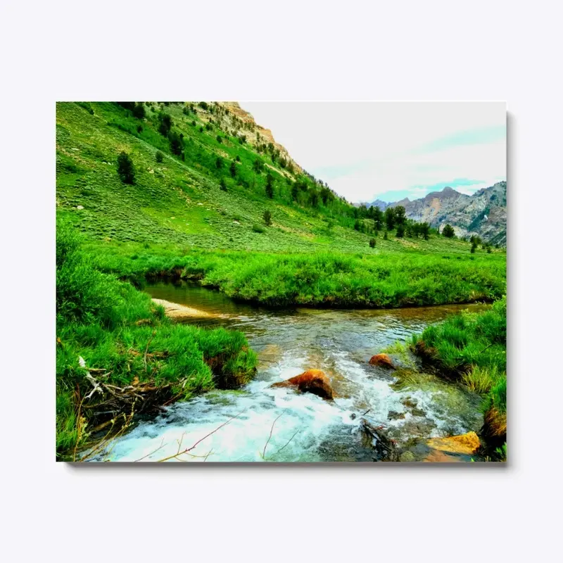 Lamoille Canyon Beaver Ponds